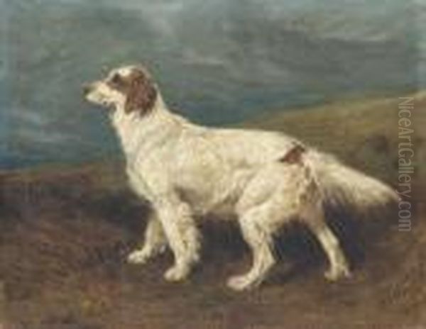 Dora, An English Setter In A Landscape Oil Painting by John Emms