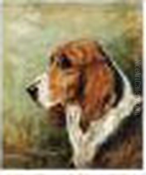 Study Of The Fox Hound ''happy Thought'' Oil Painting by John Emms