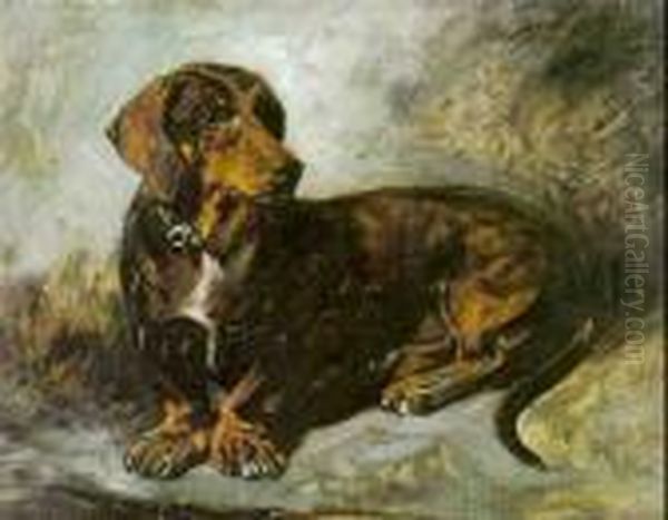 Dachshund Oil Painting by John Emms