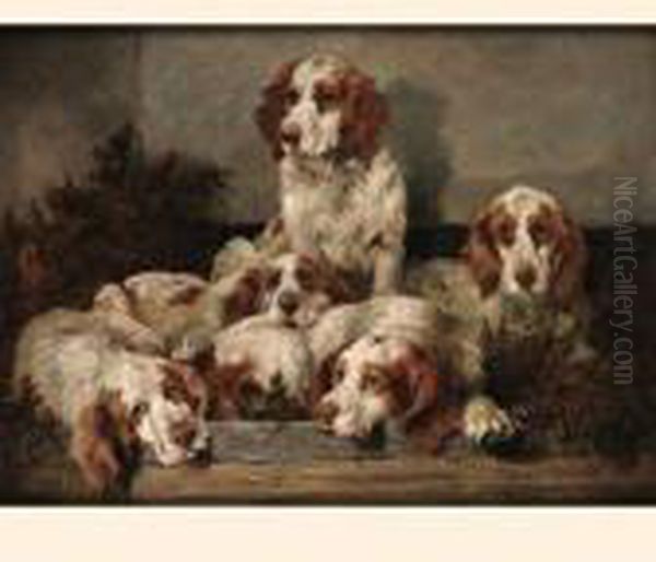 Clumber Spaniels Oil Painting by John Emms