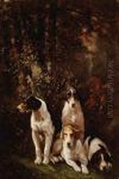 Hounds At Rest Oil Painting by John Emms