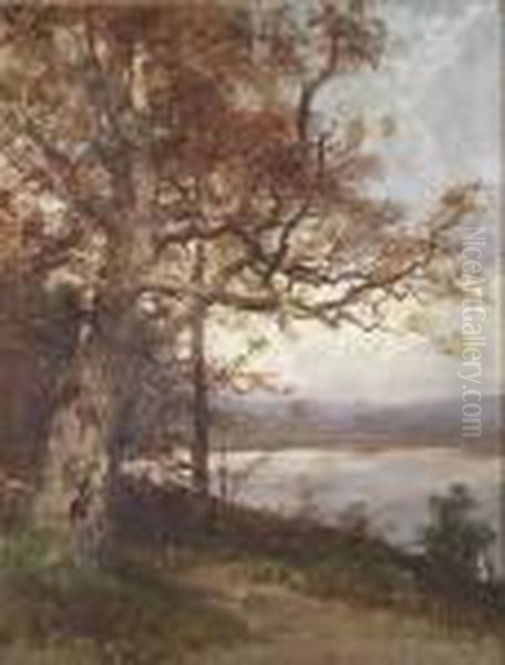 Lakeside View With Large Tree Oil Painting by John Joseph Enneking