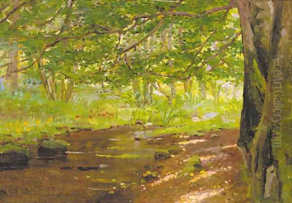 A sunlit woodland stream Oil Painting by Thomas Reynolds Lamont