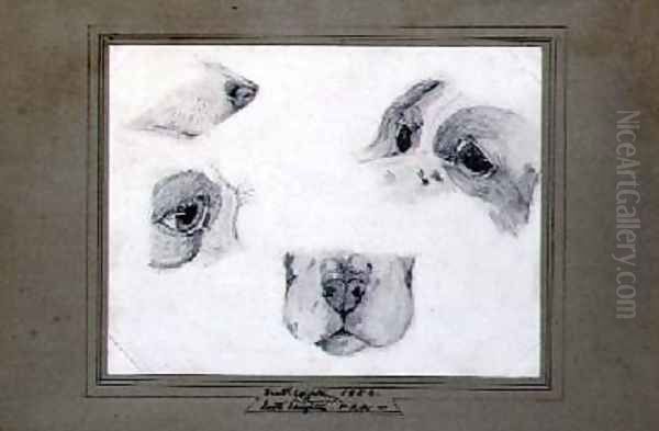 Studies of the Artists Dog Oil Painting by Frederic Leighton