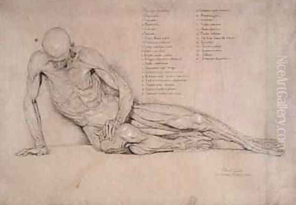 An Ecorche Study of the Dying Gaul 1840 Oil Painting by William Linnell