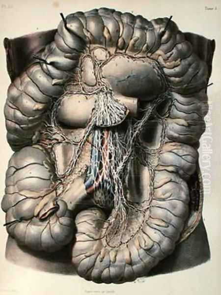 The nerves of the large intestine Oil Painting by Leveille