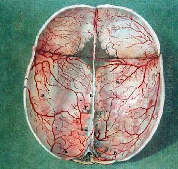 The Brain 2 Oil Painting by Jan or Joannes Ladmiral