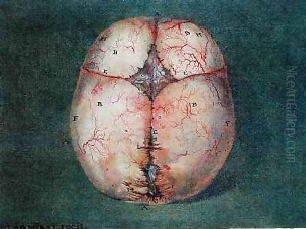 The Brain Oil Painting by Jan or Joannes Ladmiral