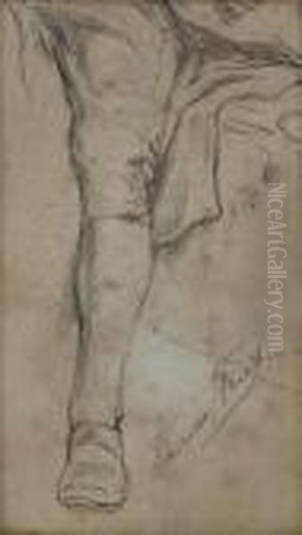 Study Of A Man's Leg Oil Painting by Thomas Faed