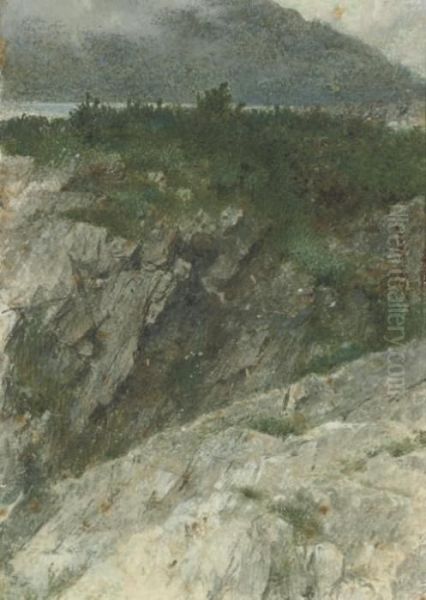 Study Of A Rocky Promontory In The Highlands Oil Painting by Thomas Faed