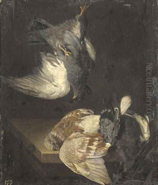 A dead pigeon suspended from a nail above pigeons on a ledge Oil Painting by Cornelis van Lelienbergh