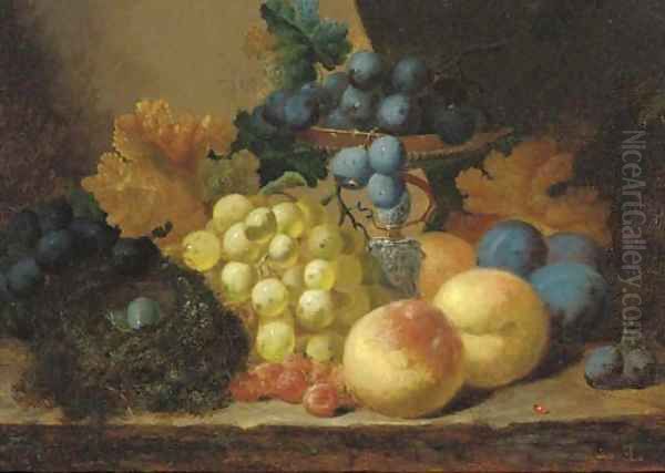 Grapes, peaches and a bird's nest on a ledge Oil Painting by Edward Ladell