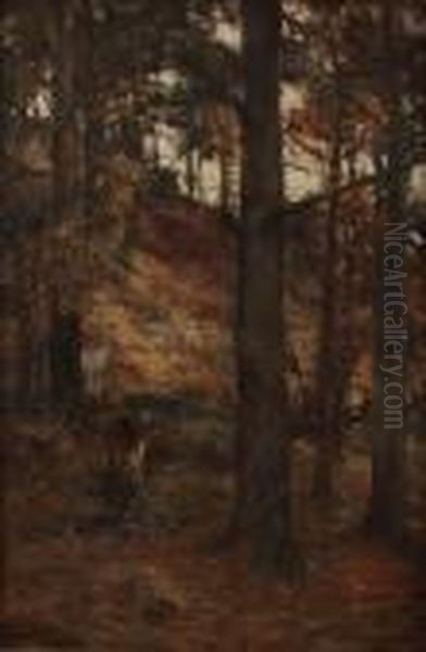 Forest Glade Oil Painting by David Farquharson