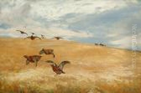 Grouse In Flight Over A Cornfield Oil Painting by David Farquharson