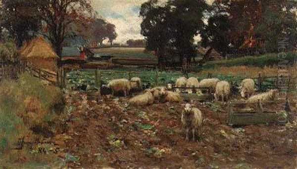 Sheep Among The Roots Oil Painting by David Farquharson