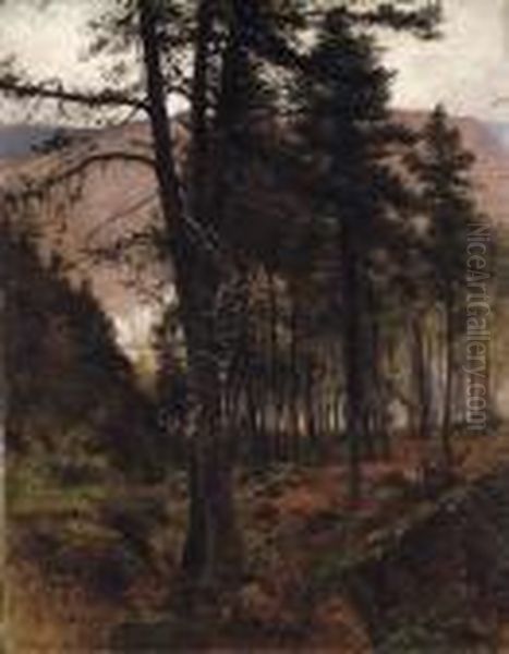 Woods In Braemar Oil Painting by Joseph Farquharson