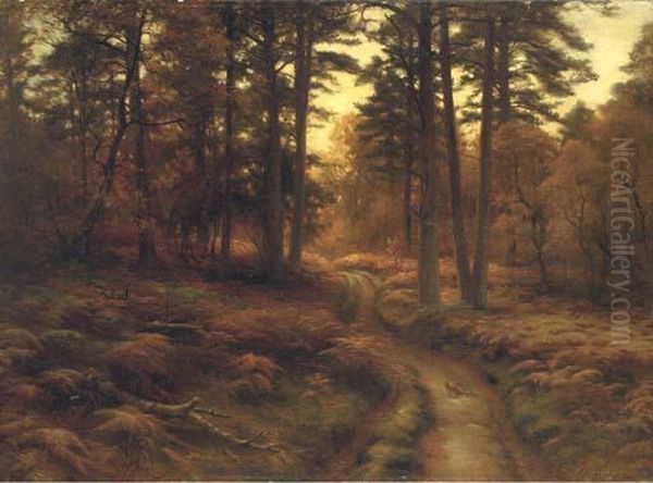 Evening. The Wild Woods Among Oil Painting by Joseph Farquharson