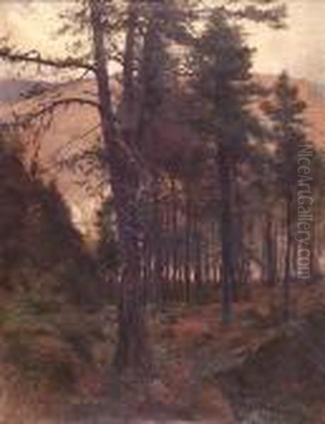 A Deeside Pine Wood Oil Painting by Joseph Farquharson