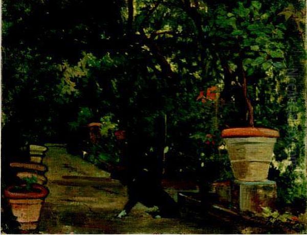 Vialetto In Giardino Con Cane (o Giardino Con Cane, O Il
Giardino) Oil Painting by Giovanni Fattori