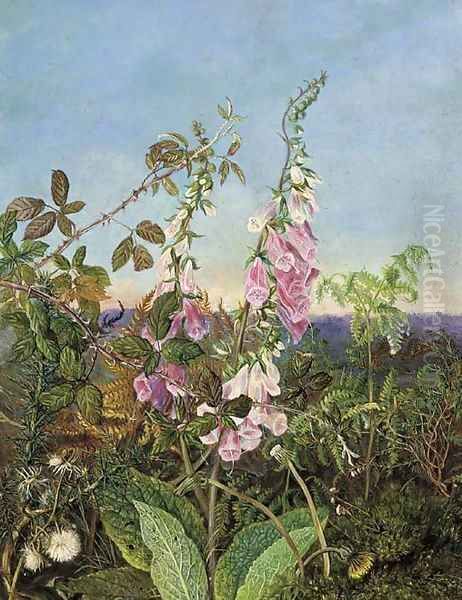 A summer hedgerow Oil Painting by Albert Durer Lucas