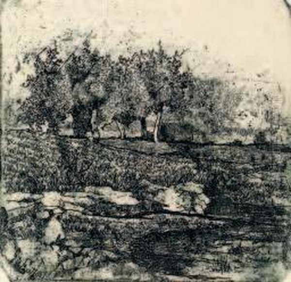 Paesaggio Con Alberi Oil Painting by Giovanni Fattori