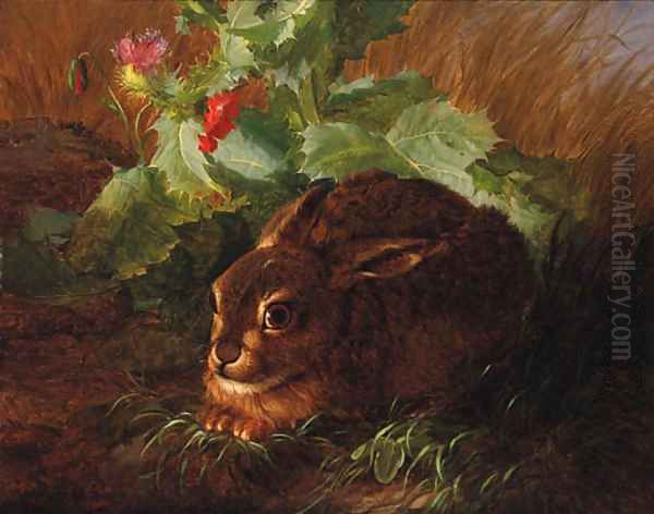 A Rabbit in long Grass Oil Painting by Andreas Lach