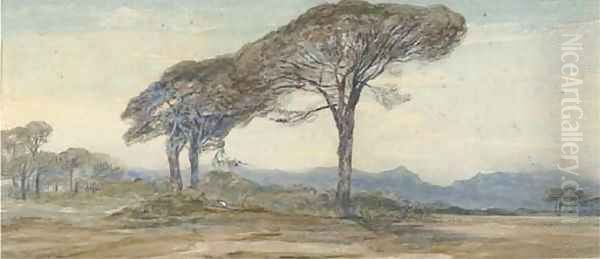 Respite from the afternoon sun Oil Painting by Edward Lear