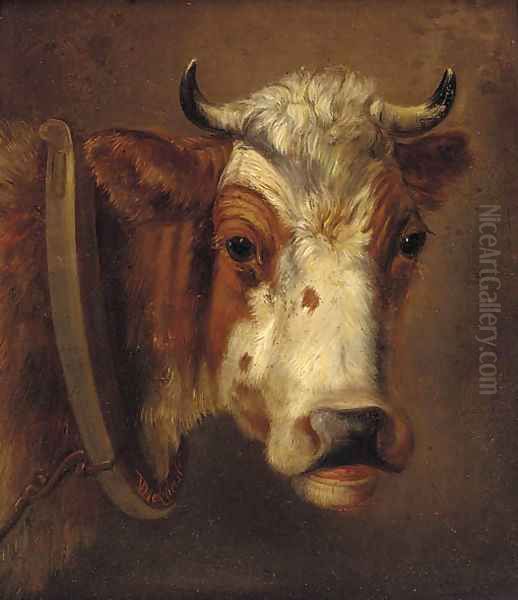 Study of a cow's head Oil Painting by Dirk Van Lokhorst