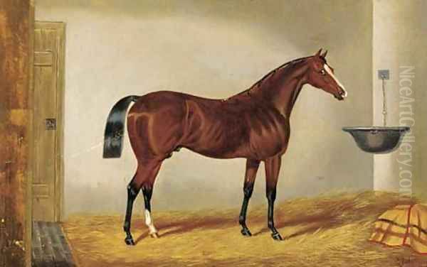 A brown hunter in a stable Oil Painting by Edwin Loder