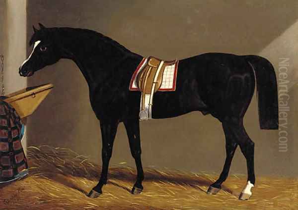 A saddled dark brown hunter in a stable Oil Painting by Edwin Loder