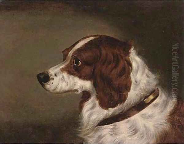 The head of a spaniel Oil Painting by Edwin Loder