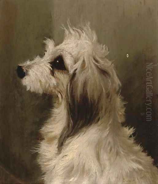 A long-haired white terrier Oil Painting by Edwin Loder