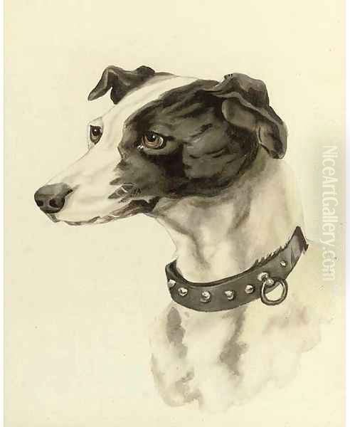 Portrait of a whippet Oil Painting by Edwin Loder