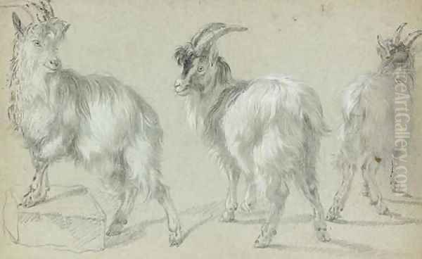 Three goats Oil Painting by Francesco Londonio