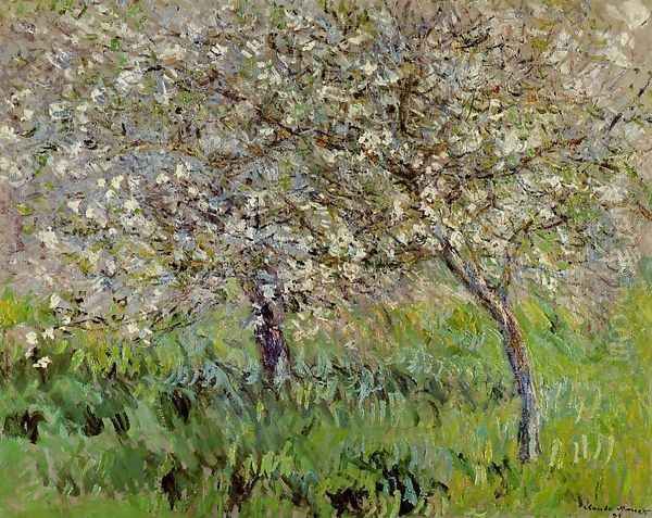 Apple Trees In Bloom At Giverny Oil Painting by Claude Oscar Monet