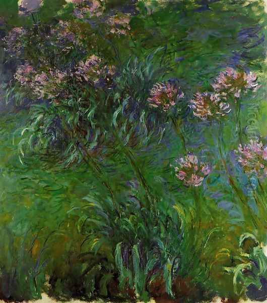 Agapanathus Oil Painting by Claude Oscar Monet