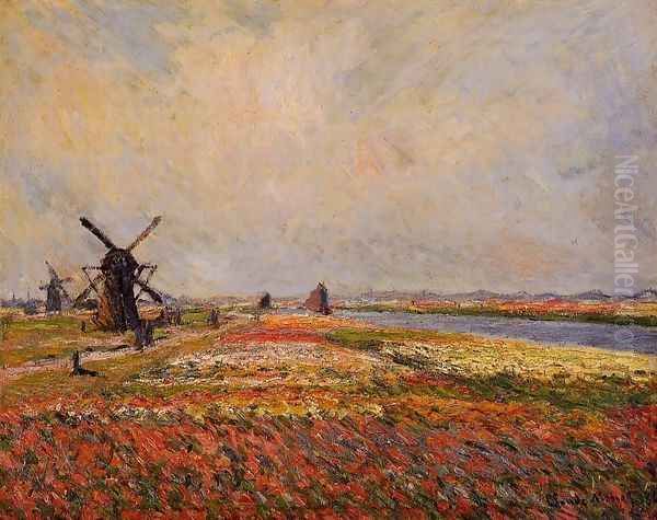 Fields Of Flowers And Windmills Near Leiden Oil Painting by Claude Oscar Monet