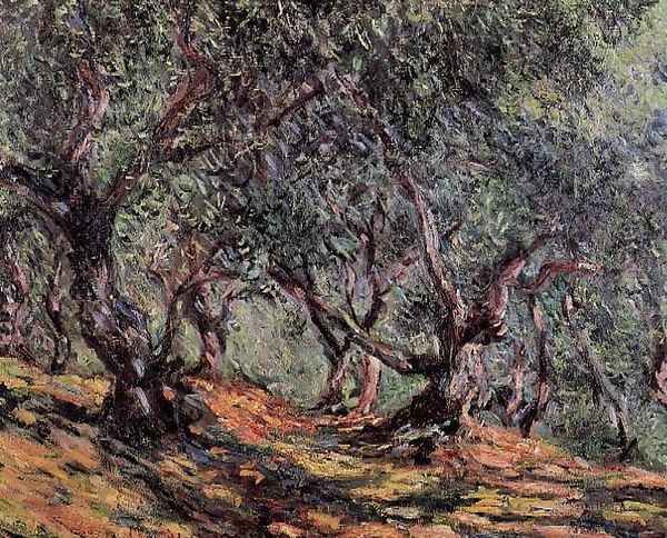 Olive Trees In Bordighera Oil Painting by Claude Oscar Monet