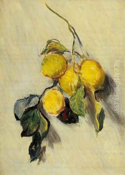 Branch Of Lemons Oil Painting by Claude Oscar Monet