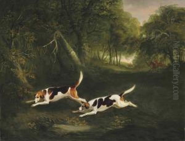 The Ormond Hounds Of The Hon. George O'callaghan Oil Painting by John Snr Ferneley