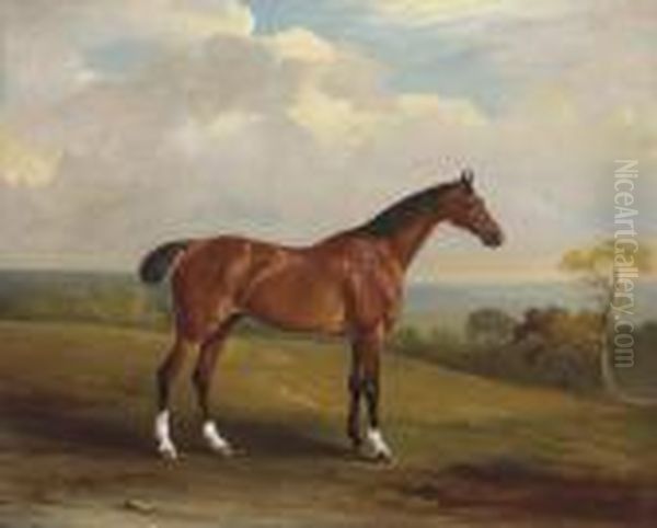 Clinker, The Bay Hunter Of H.h. Holdich-hungerford Of Dingley Park,northamptonshire Oil Painting by John Snr Ferneley