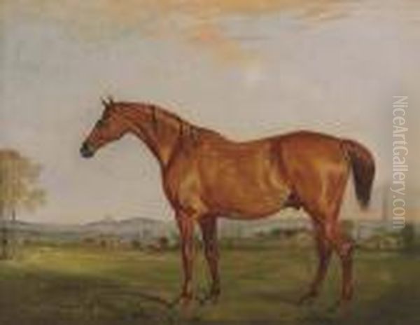 Shamrock, The Chestnut Hunter Of
 The Rev. Charles Thornton, Belvoircastle In The Distance Oil Painting by John Snr Ferneley