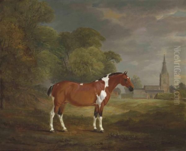 Pat, A Skewbald Cob Belonging To
 Colonel John Frewen Turner, Of Cold Overton Hall, Leicestershire Oil Painting by John Snr Ferneley