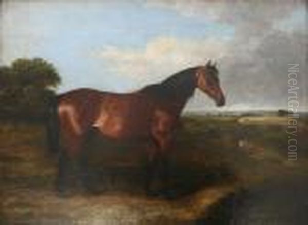 A Bay Horse In A Field Oil Painting by John Snr Ferneley