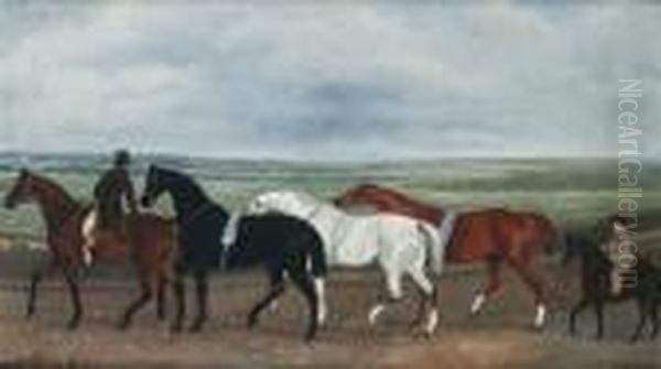 Racehorses Being Exercised On A Heath Oil Painting by John Snr Ferneley