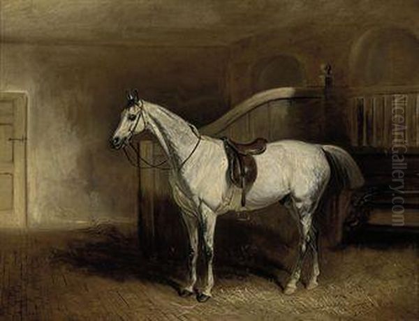 Lord Rancliffe's Grey Hunter, In A Loosebox Oil Painting by John Snr Ferneley