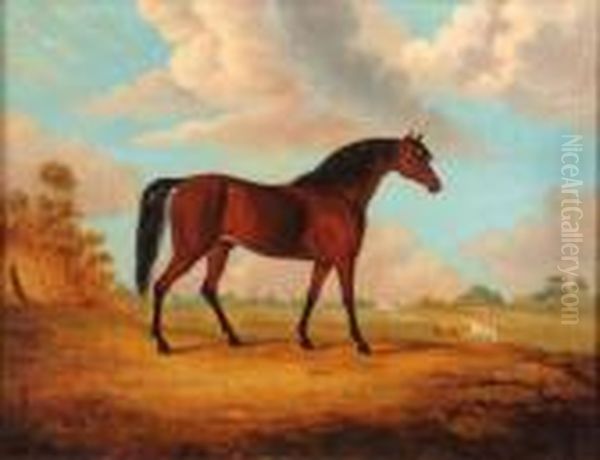 Horse In Landscape Oil Painting by John Snr Ferneley