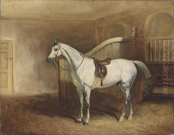 Lord Rancliffe's Grey Hunter, In A Loosebox Oil Painting by John Snr Ferneley