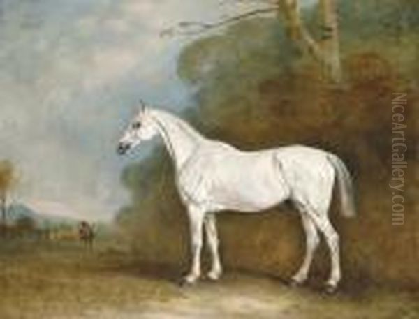 A Grey Hunter In A Wooded Landscape Oil Painting by John Snr Ferneley