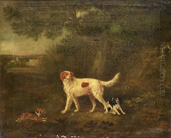 A Red And White Setter With 
Other Dogs In A Landscape, With A View Of Staunton Harold In The 
Distance Oil Painting by John Snr Ferneley